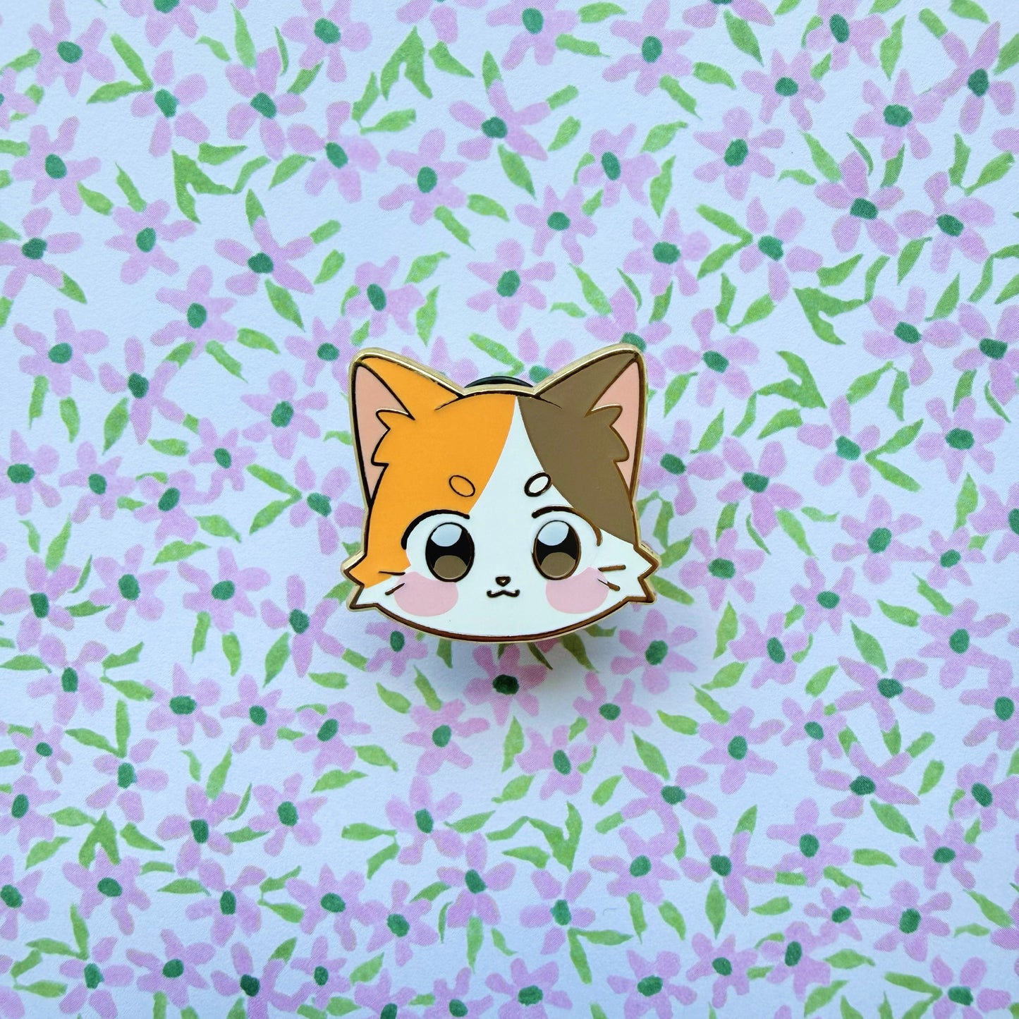 KITTY CATALOGUE FILLERS