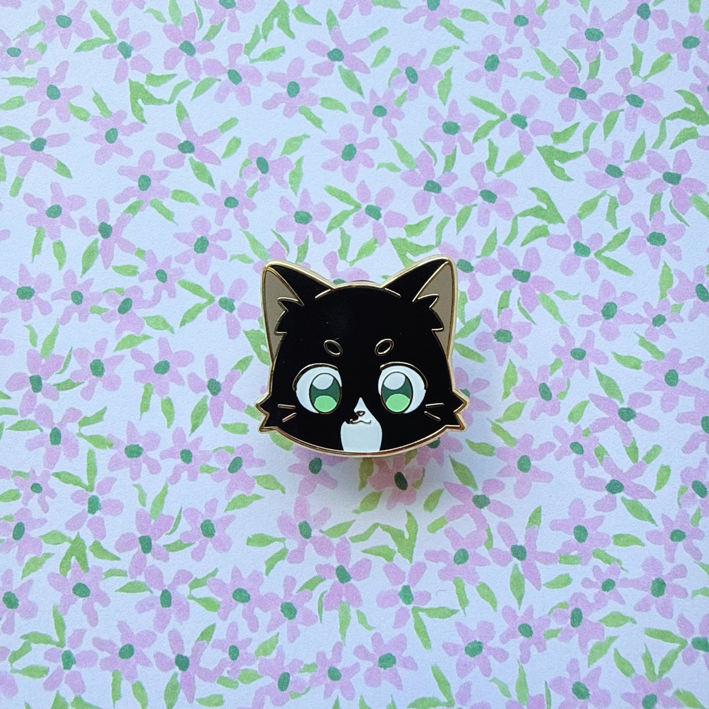 KITTY CATALOGUE FILLERS
