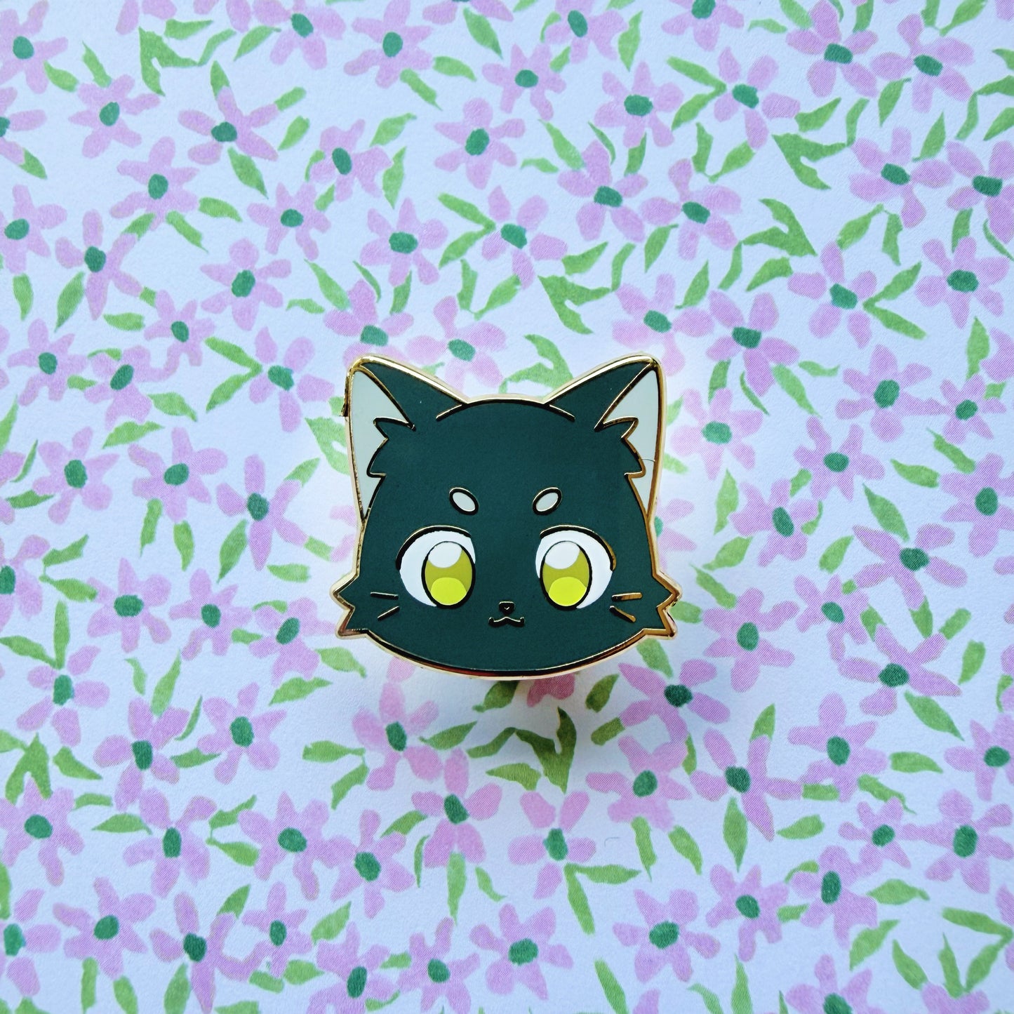 KITTY CATALOGUE FILLERS